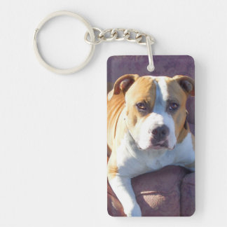 Pitbull dog keychain