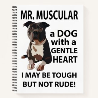 Pitbull Dog Pet Animal
