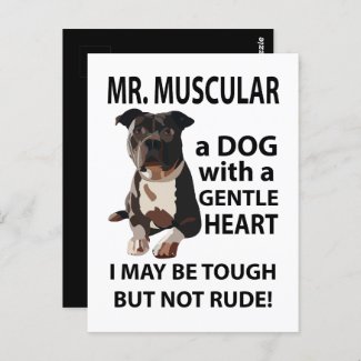 Pitbull Dog Pet Animal