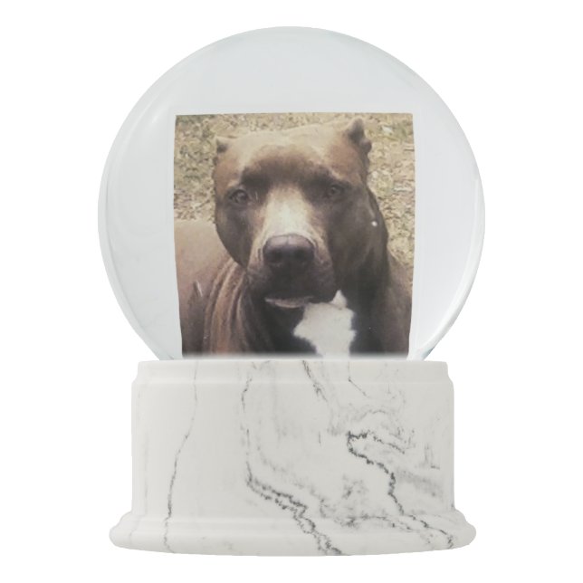 Pitbull Dog Pet Photo Custom Snow Globe (Front)