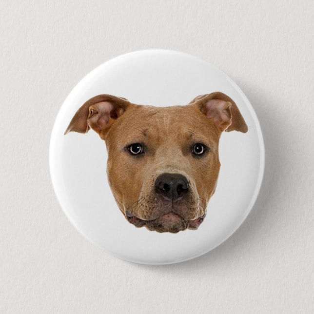 Pitbull Dog Pinback Button (Front)