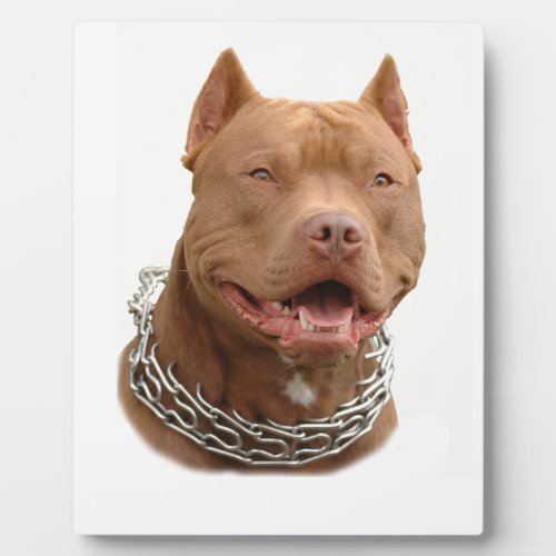 Pitbull dog plaque