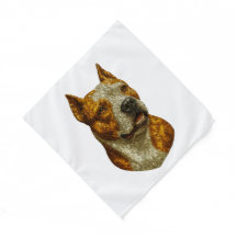Pitbull Dog Portrait