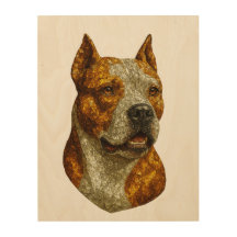 Pitbull Dog Portrait