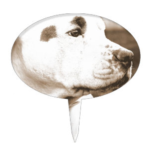 pitbull dog sepia color hate deed not breed cake topper
