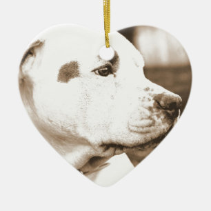 pitbull dog sepia color hate deed not breed ceramic ornament
