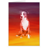 Pitbull Dog Sitting On Beach (Front)