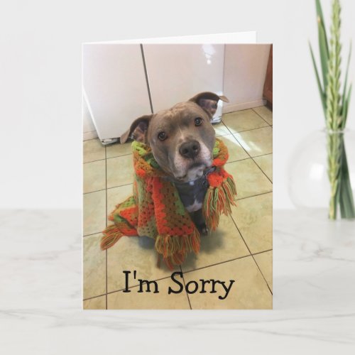 Pitbull Doghouse Im Sorry Card