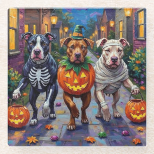 Pitbull Dogs Trick-or-Treating Halloween Costumes Glass Coaster
