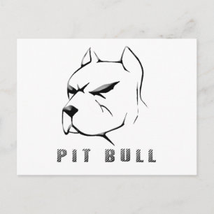 Pitbull draw postcard