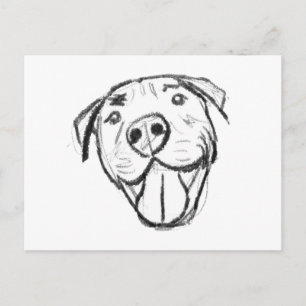 pitbull drawing simple dog lovers black white postcard