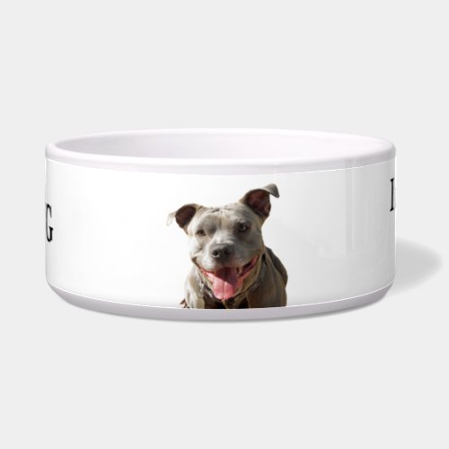 Pitbull Drool Warning Dog Bowl