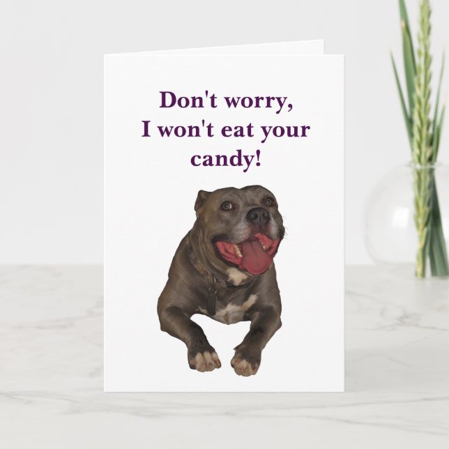 Pitbull Funny Easter Card (Front)