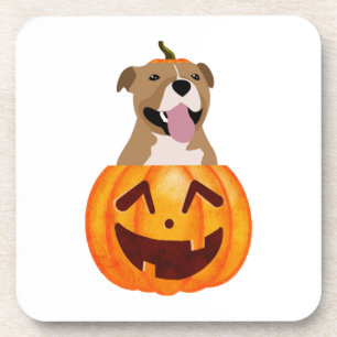 Pitbull Halloween   Beverage Coaster