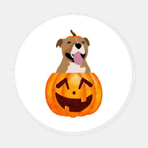 Pitbull Halloween   Coaster Set