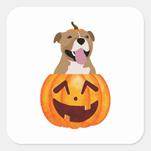 Pitbull Halloween   Square Sticker