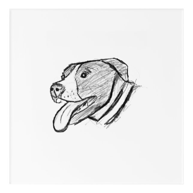 pitbull hand drawn photo dog animal lover acrylic print (Front)