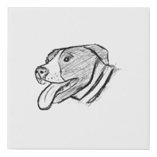 pitbull hand drawn photo dog animal lover faux canvas print