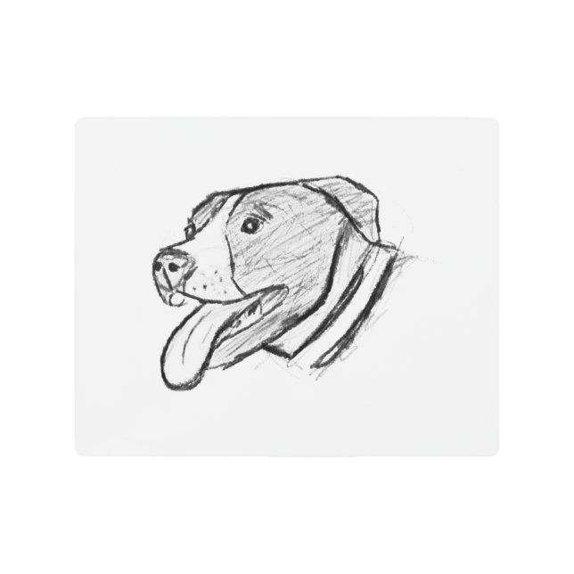 pitbull hand drawn photo dog animal lover poster (Front)