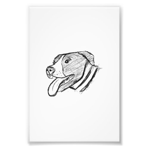 pitbull hand drawn photo dog animal lover poster