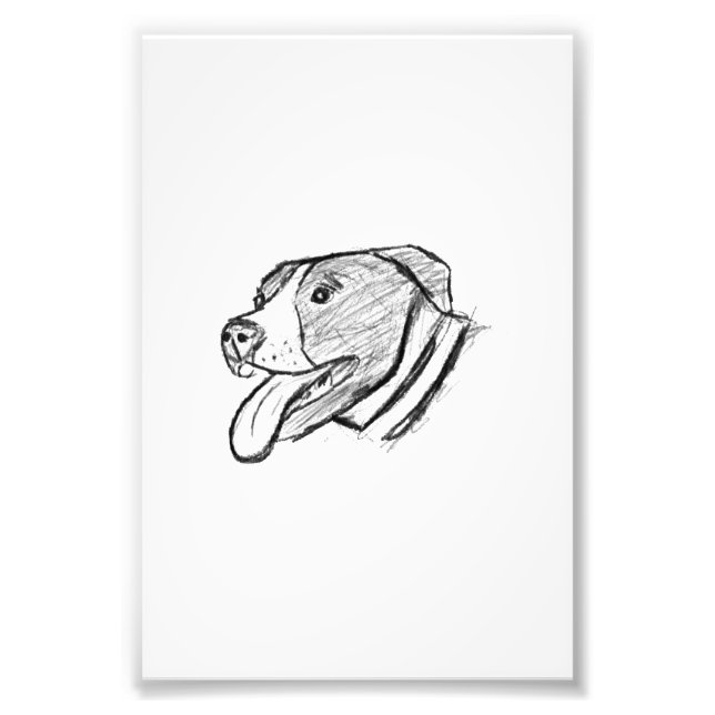 pitbull hand drawn photo dog animal lover poster (Front)