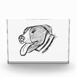 pitbull hand drawn photo dog animal lover poster block