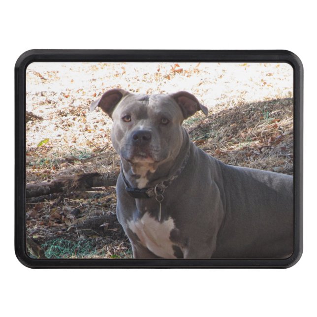 Pitbull Hitch Cover (Front)