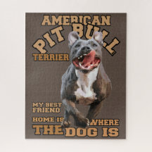 Pitbull - I love Dogs