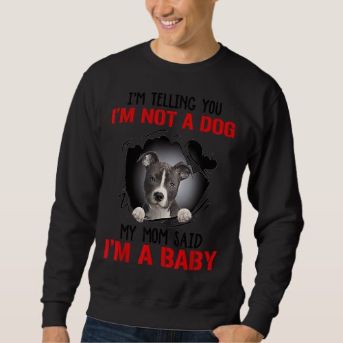 Pitbull Im Telling You Im Not A Dog My Mom Said Im Sweatshirt