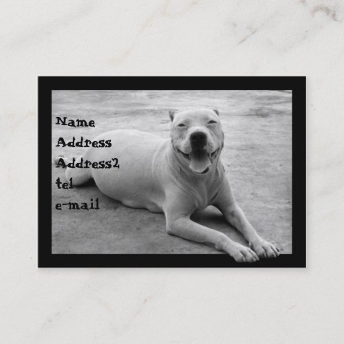 Pitbull in black and white business card