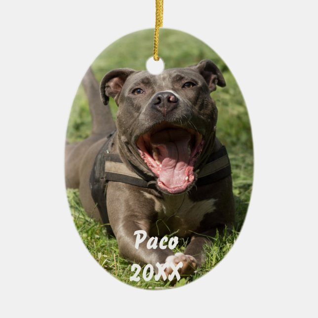 Pitbull In Grass Ceramic Ornament (Front)