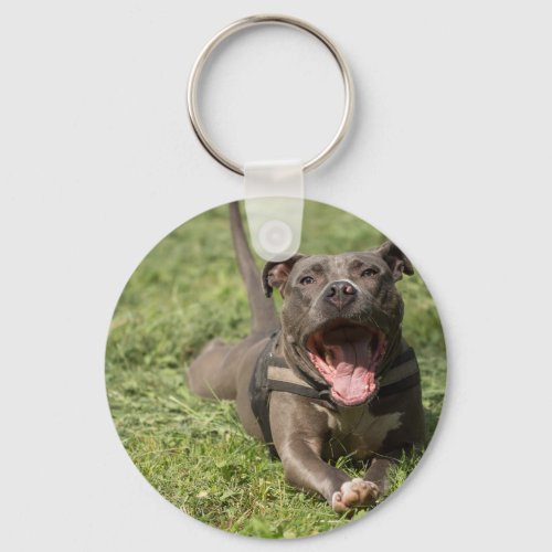 Pitbull In Grass Keychain