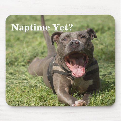 Pitbull In Grass Mouse Pad