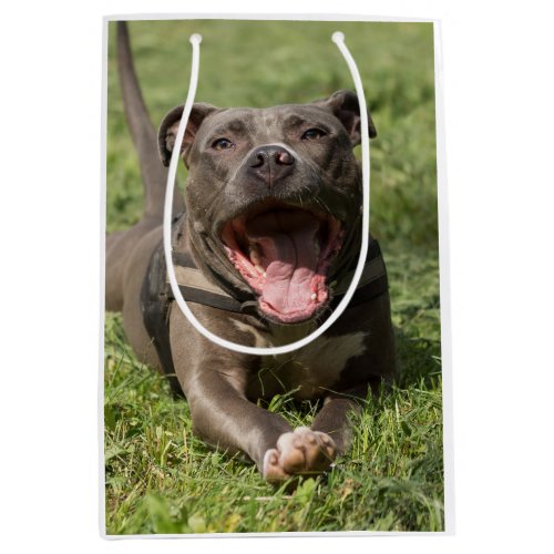 Pitbull In the Grass  Editable Photo Medium Gift Bag