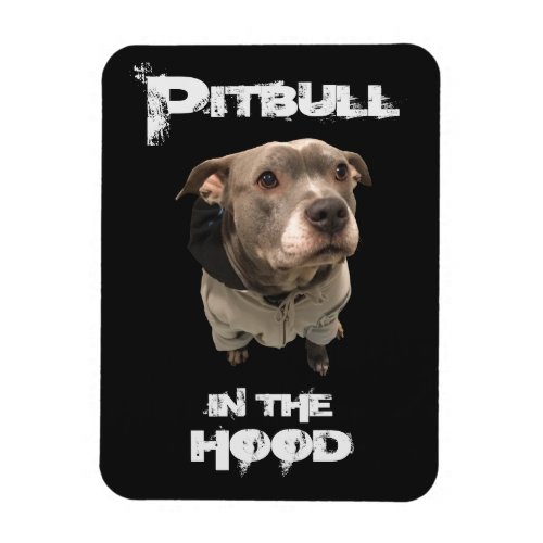 Pitbull in The Hood Magnet