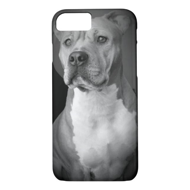 Pitbull iPhone Case (Back)
