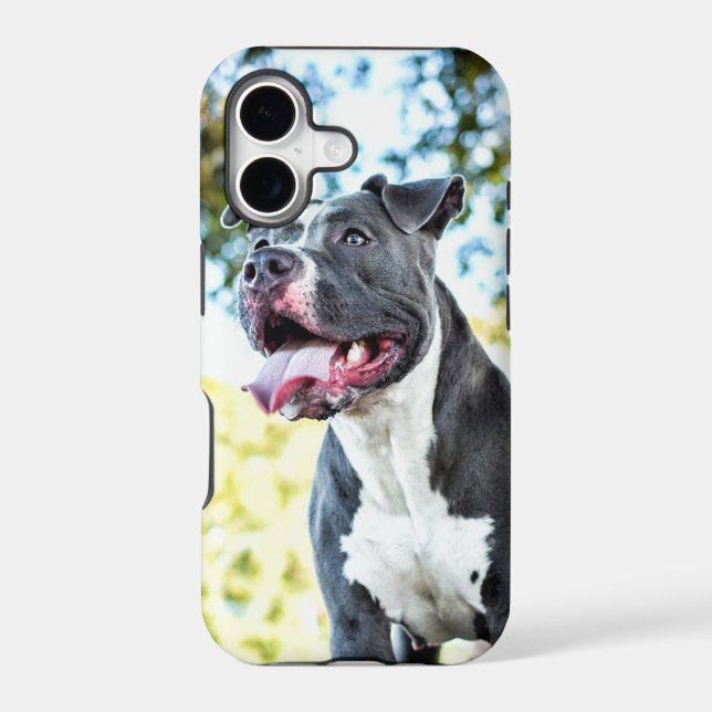 Pitbull Iphone Case (Back)