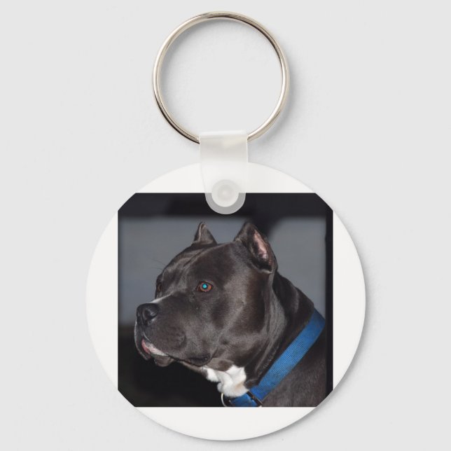 Pitbull Keychain (Front)