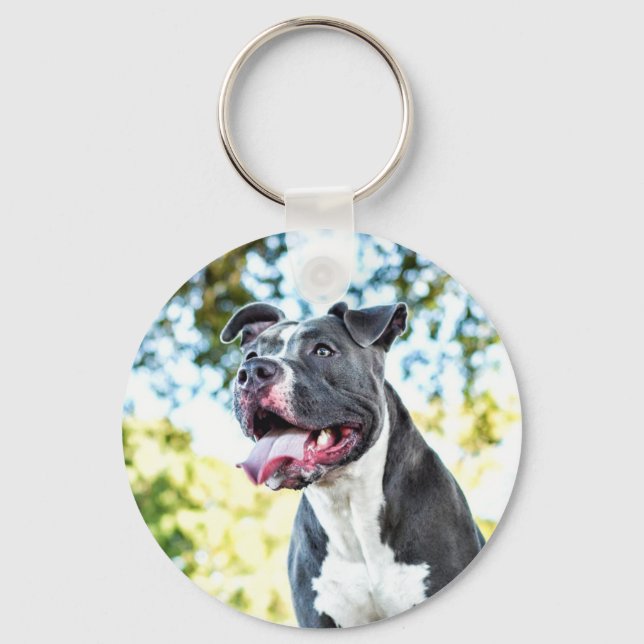 Pitbull Keychain (Front)