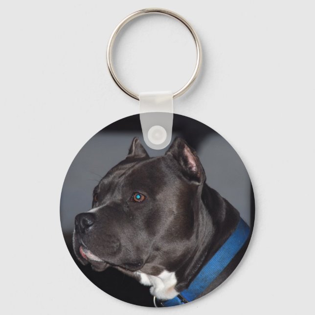Pitbull Keychain (Front)