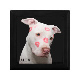Pitbull Kisses Gift Box