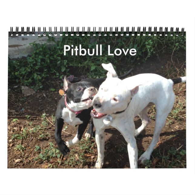 Pitbull Love Calendar (Cover)