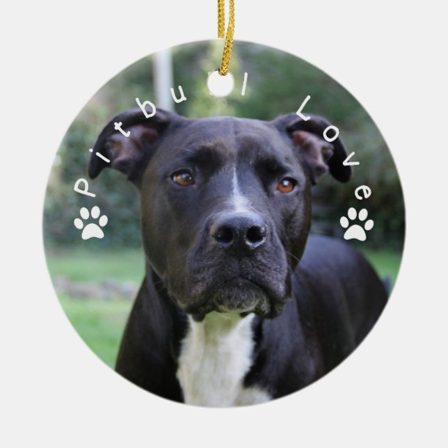 Pitbull Love Custom Picture Ceramic Ornament (Front)