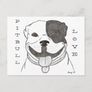 Pitbull Love Postcard