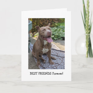 Pitbull Love Thinking of You Card