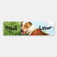 Pitbull lover bumper sticker
