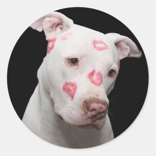 Pitbull Lover Classic Round Sticker