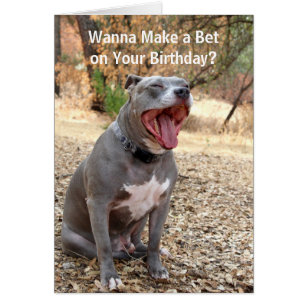 Happy Birthday Pitbull Cards - Greeting & Photo Cards | Zazzle