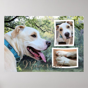 Pitbull - Maverick Composite Poster