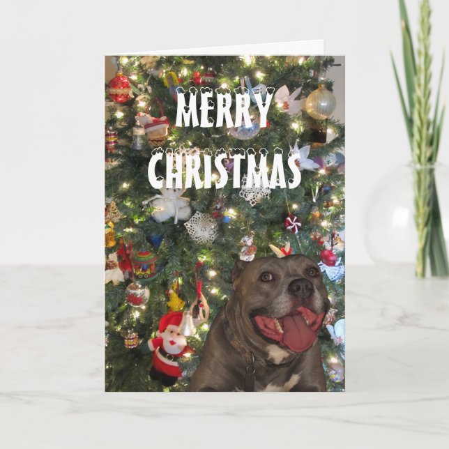 Pitbull Merry Christmas Greeting Card (Front)